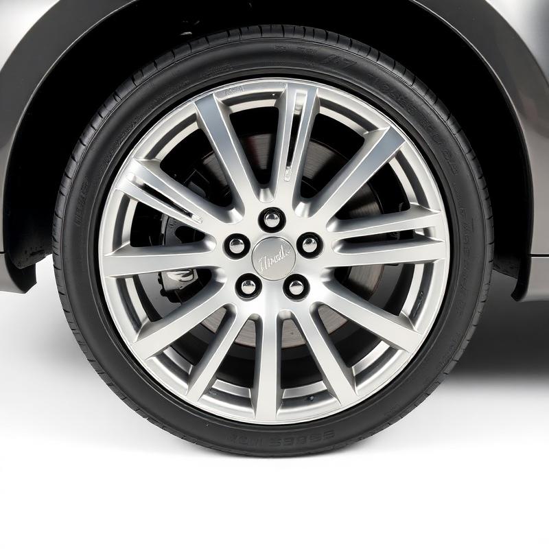 19" Forged Alloy Wheel
